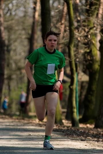 img00033.jpg