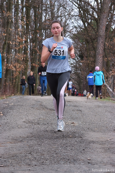 img00157.jpg