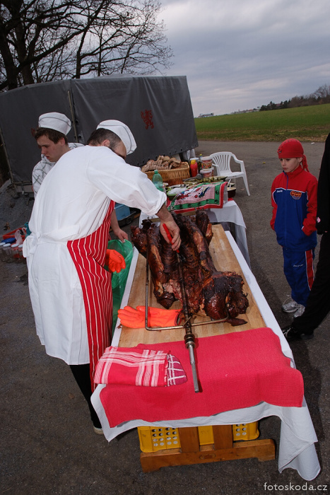 img00252.jpg