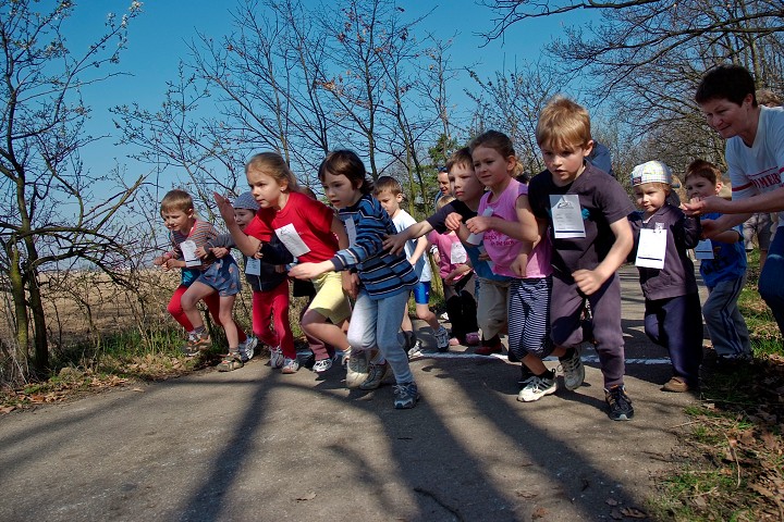 img00005.jpg