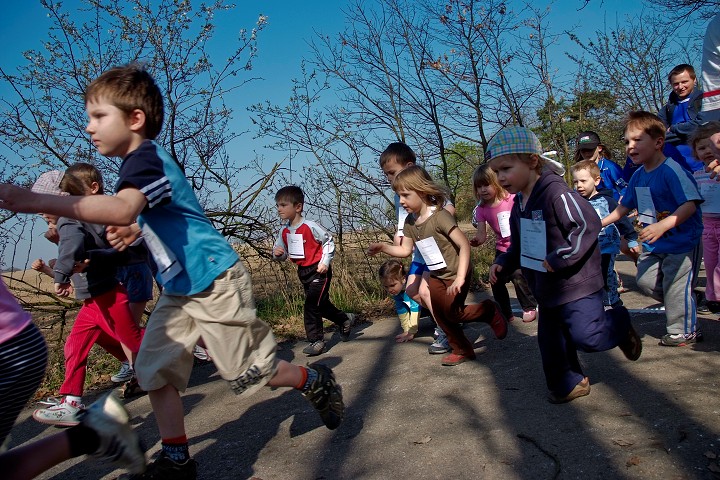 img00006.jpg