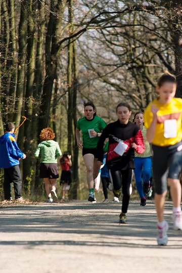 img00026.jpg