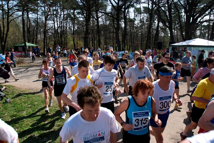 img00017.jpg