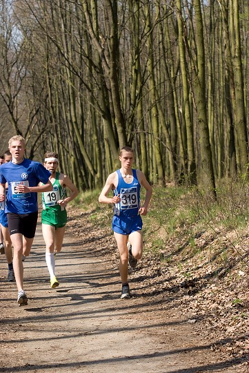 img00030.jpg
