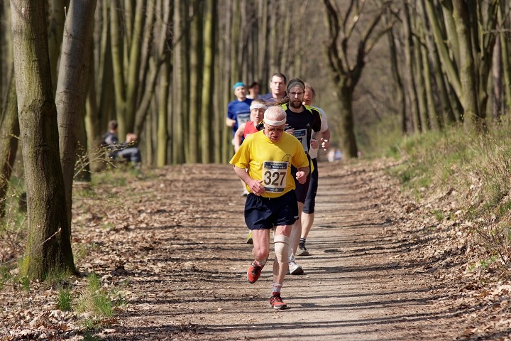 img00062.jpg
