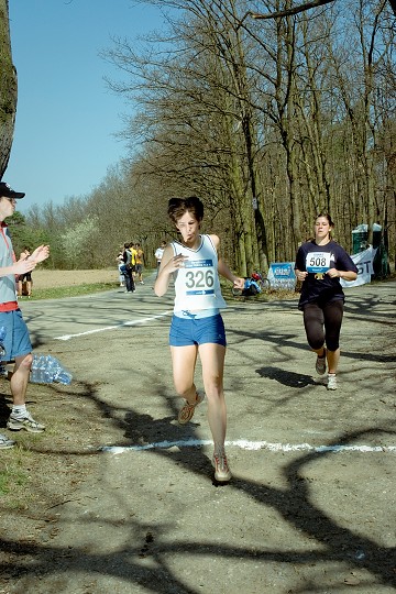 img00081.jpg