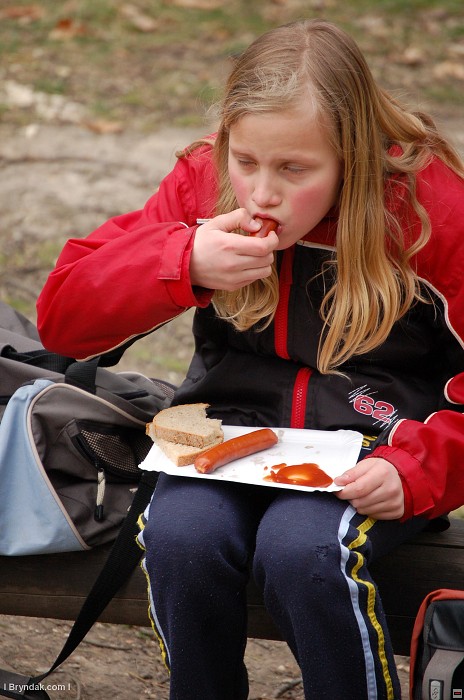img00042.jpg