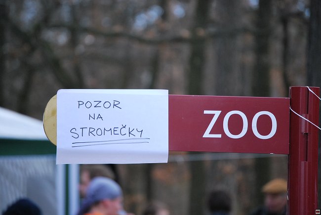 img00121.jpg